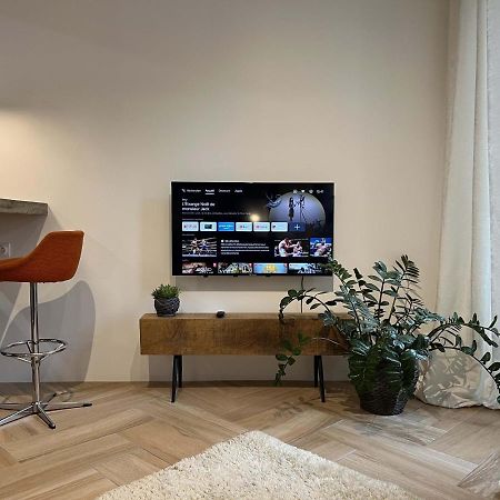 Bel Appartement Au Centre Du Vieux Joigny Eksteriør billede